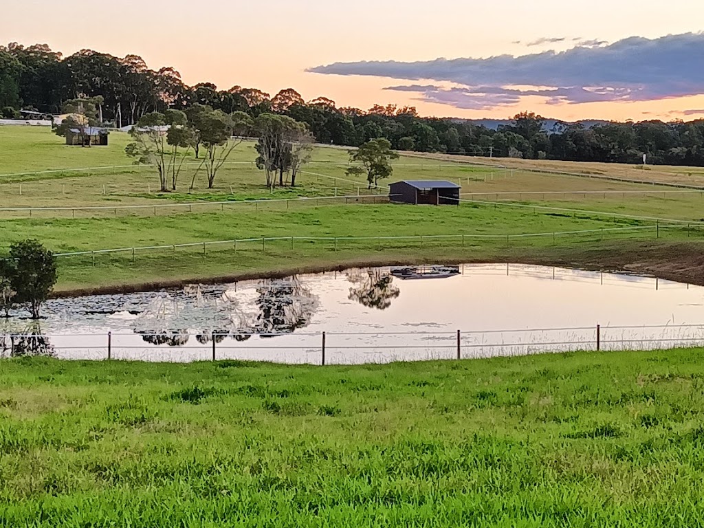 Mountain View Equestrian Centre | 475 Raaen Rd, Bracalba QLD 4512, Australia | Phone: 0468 585 529
