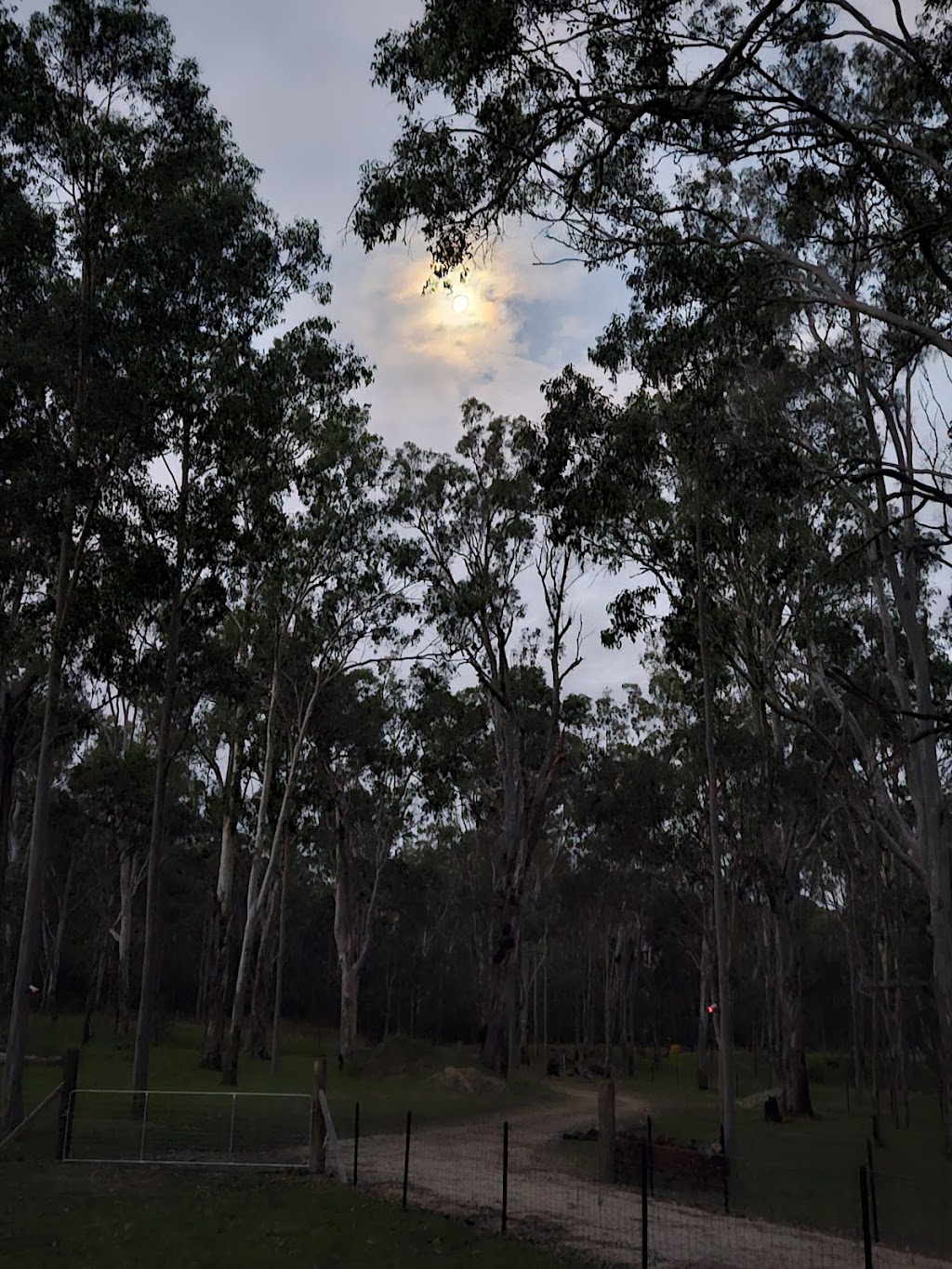 Husky Heaven Tabulam NSW | Bruxner Hwy, Tabulam NSW 2469, Australia | Phone: 0415 169 965