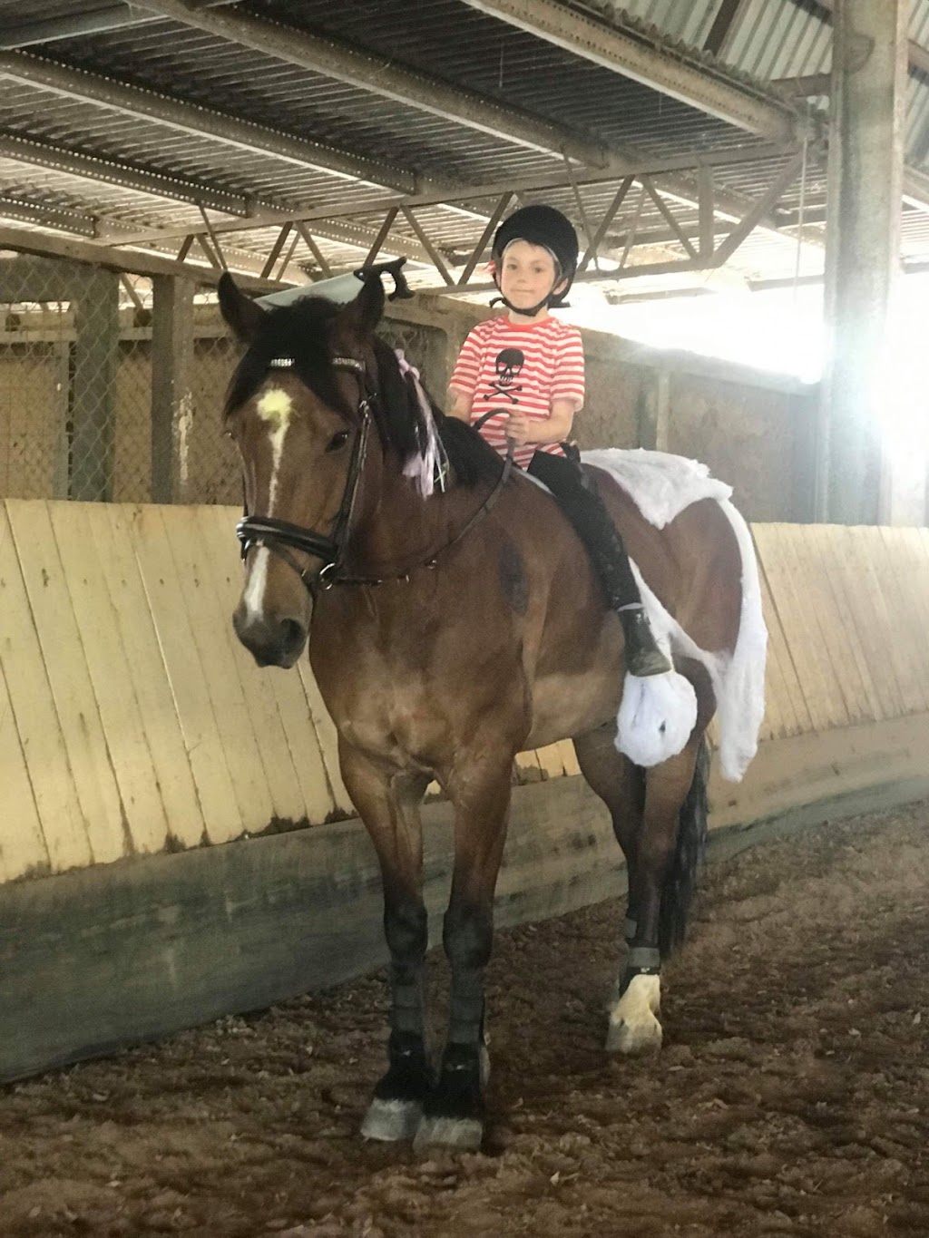 Dalson Park Indoor Equestrian Centre | 63 Nujooloo Rd, Slacks Creek QLD 4127, Australia | Phone: 0448 034 514