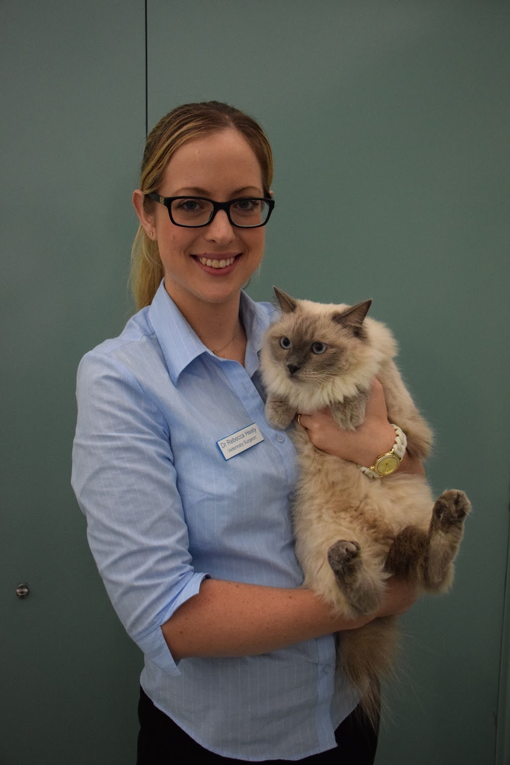 Greenwood Veterinary Clinic | veterinary care | Greenwood Village Shopping Centre, 10/18 Calectasia St, Greenwood WA 6024, Australia | 0894487555 OR +61 8 9448 7555