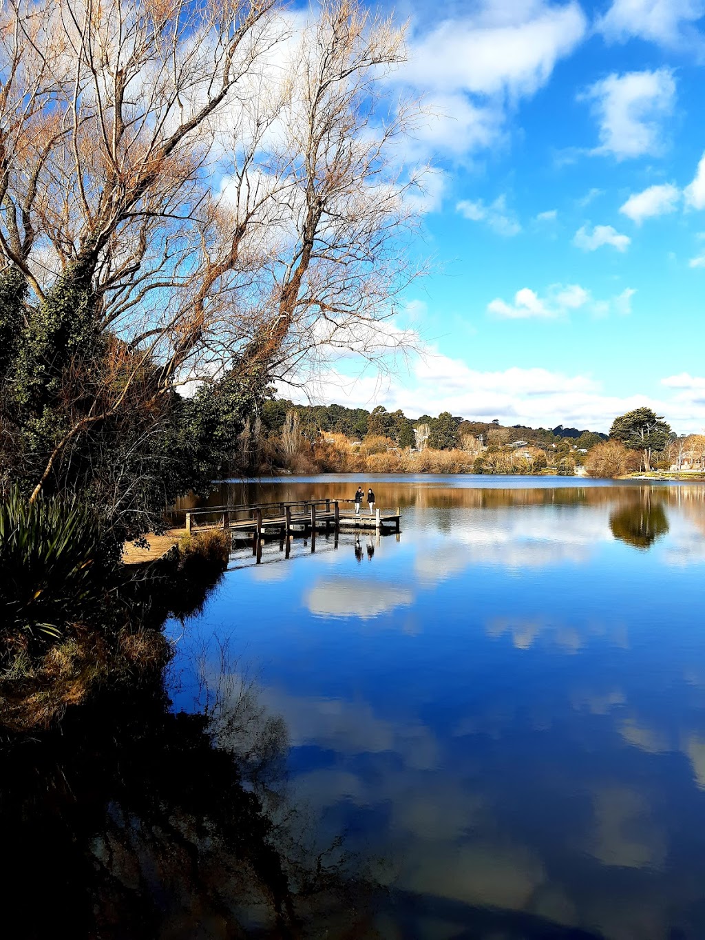 Secret Forest Walks | Woodshed cafe, 21a Raglan St, Daylesford VIC 3460, Australia | Phone: 0418 301 281