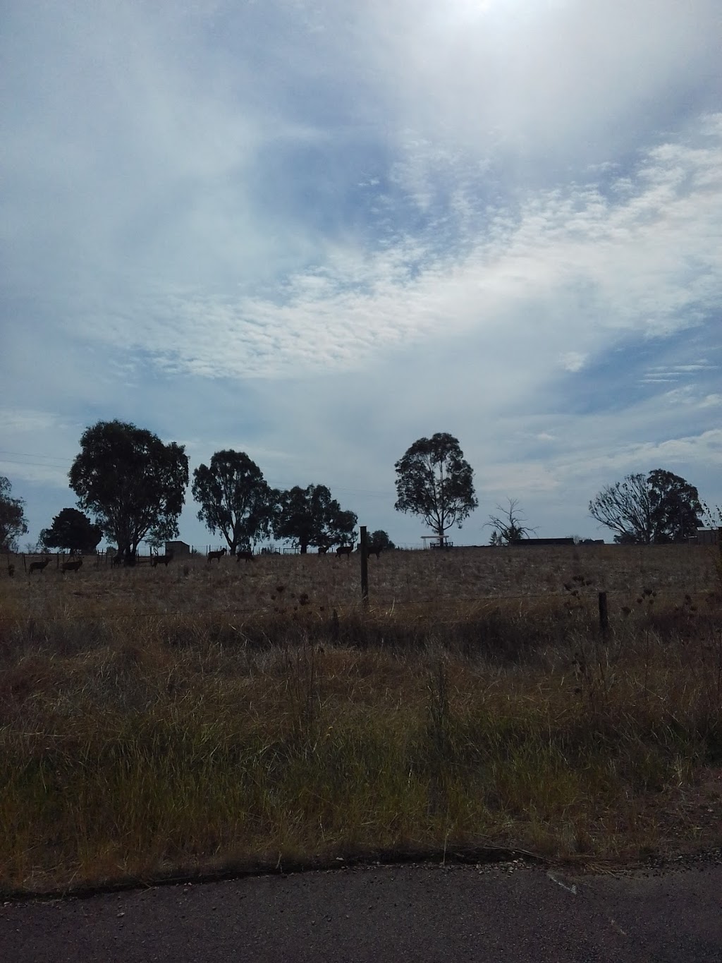 Kangaroo point | park | Unnamed Road, Bonegilla VIC 3691, Australia