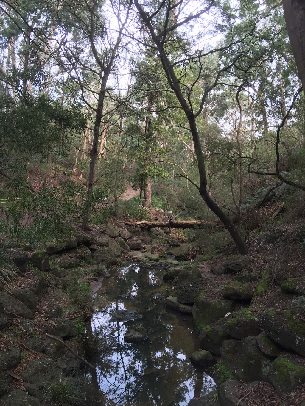 Damper Creek Reserve | park | 38-50 Park Rd, Mount Waverley VIC 3149, Australia