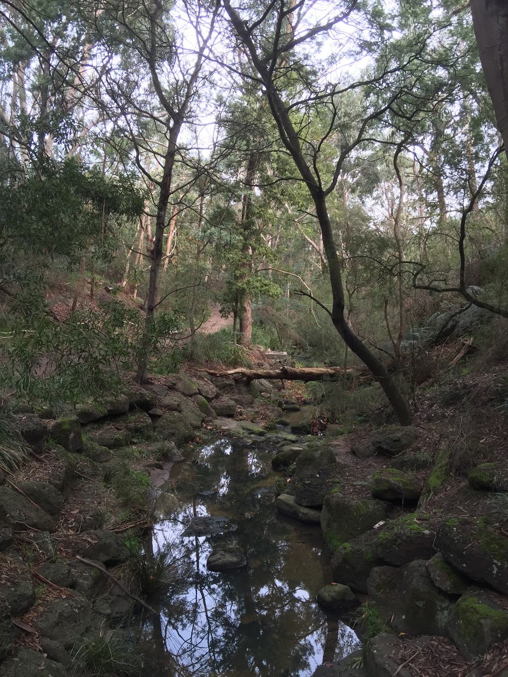 Damper Creek Reserve | 38-50 Park Rd, Mount Waverley VIC 3149, Australia