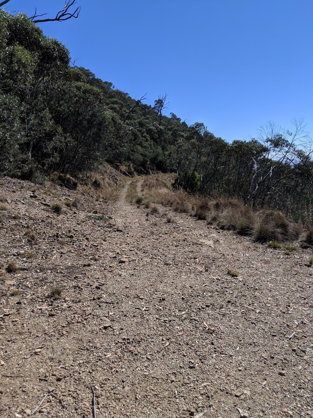 Tidbinbilla | park | Paddys River ACT 2620, Australia