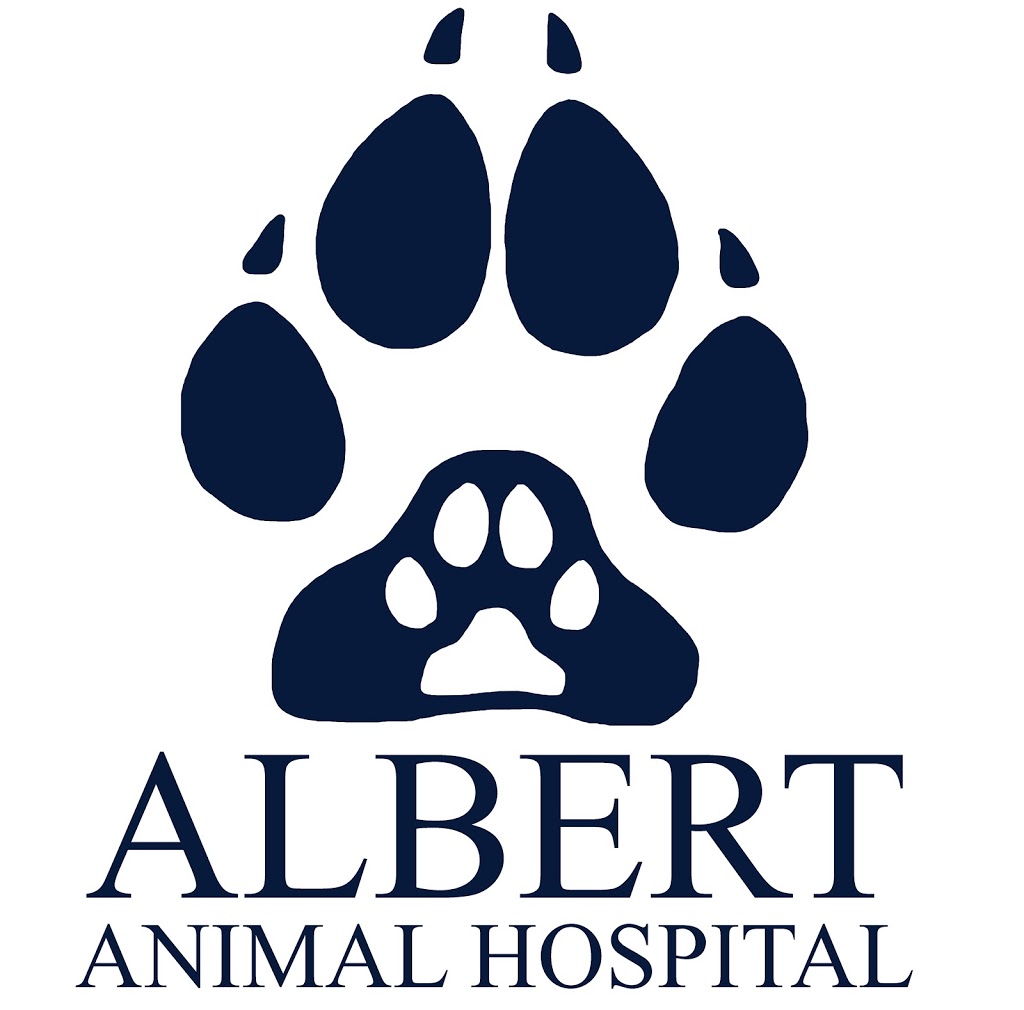 Albert Animal Hospital | veterinary care | 3331 Pacific Hwy, Slacks Creek QLD 4127, Australia | 0732089233 OR +61 7 3208 9233