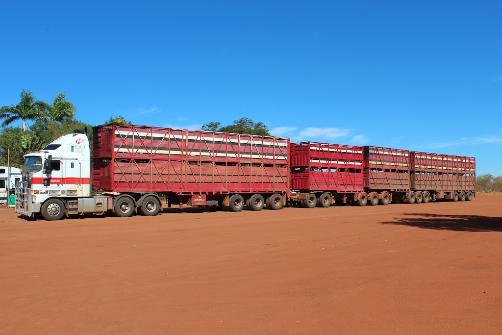 Mitchells Livestock Transport | 443 McNeill Rd, Waroona WA 6215, Australia | Phone: (08) 9733 1246