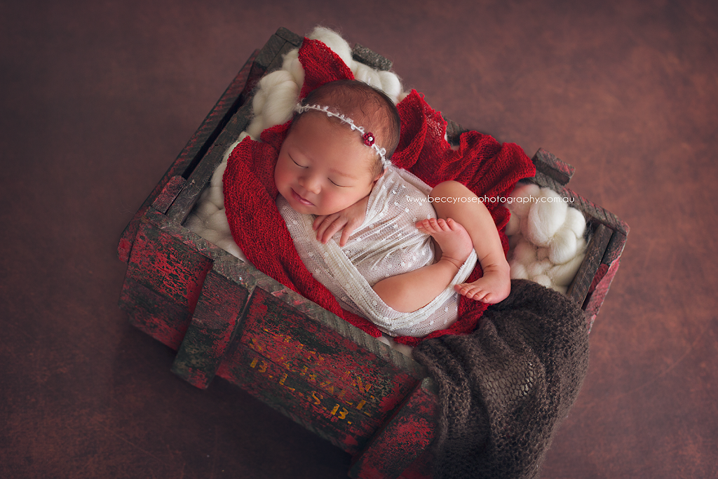 Newborn Photographer - BeccyRose Photography | 112 Aqua Promenade, Currumbin Valley QLD 4223, Australia | Phone: 0422 689 889