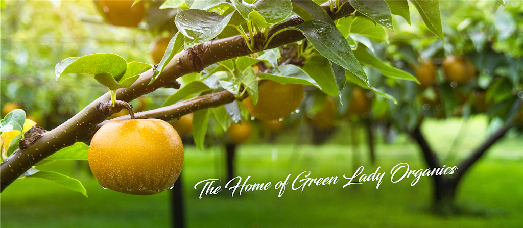 Mulbrook Orchards | 767 W Kameruka Rd, Kameruka NSW 2550, Australia | Phone: 0438 455 243