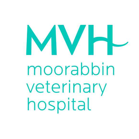 Moorabbin Veterinary Hospital | 328 South Rd, Hampton East VIC 3188, Australia | Phone: (03) 8613 3412