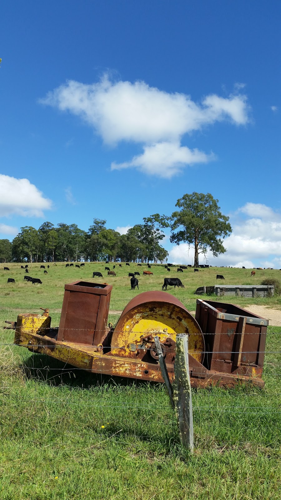 Red Hill Organics Farmstay | 1956 Kangaroo Flat Rd, Yarrowitch NSW 2354, Australia | Phone: 0428 695 184