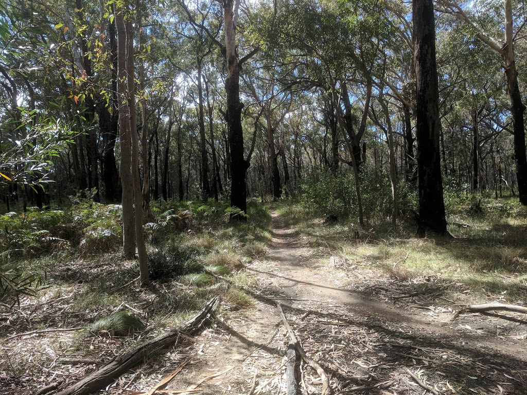 Loftus MTB park | park | Loftus NSW 2233, Australia