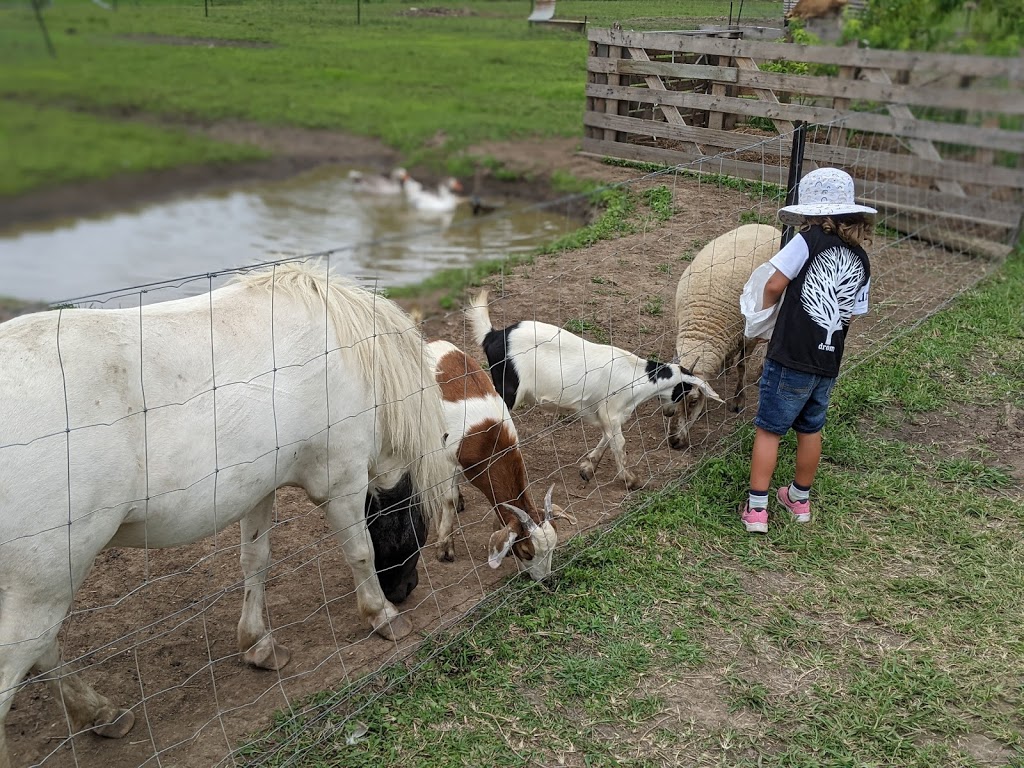 The Peach Farm |  | 5799 Pacific Hwy, Mororo NSW 2469, Australia | 0447589177 OR +61 447 589 177