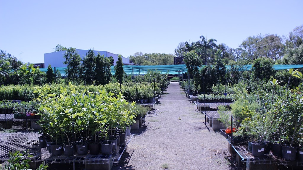 Flora North Nursery |  | 22-24 Bessemer St, Stuart QLD 4811, Australia | 0747290551 OR +61 7 4729 0551