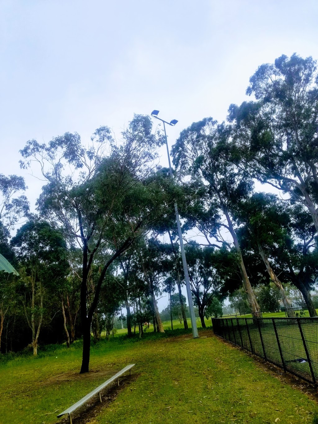 Webbs Avenue Playing Fields | park | Auburn NSW 2144, Australia