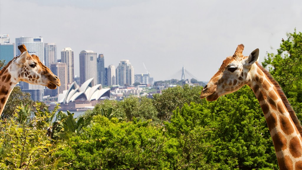 Taronga Zoo Sydney | zoo | Bradleys Head Rd, Mosman NSW 2088, Australia | 0299692777 OR +61 2 9969 2777