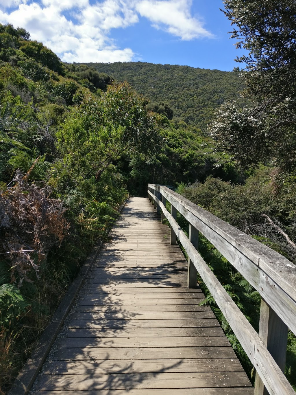 Sheoak Falls Car Park | 2530 Great Ocean Rd, Lorne VIC 3232, Australia