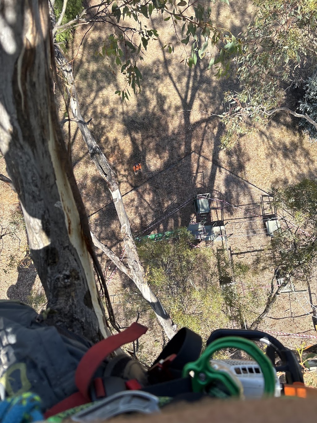 High Plains Tree Care | Steens Rd, Boho South VIC 3669, Australia | Phone: 0467 088 248