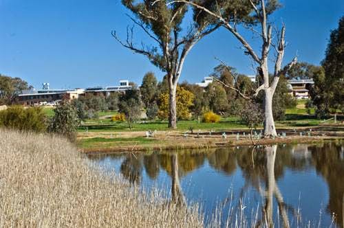 Charles Sturt University, Albury-Wodonga Campus | university | Elizabeth Mitchell Dr, Thurgoona NSW 2640, Australia | 0260516000 OR +61 2 6051 6000
