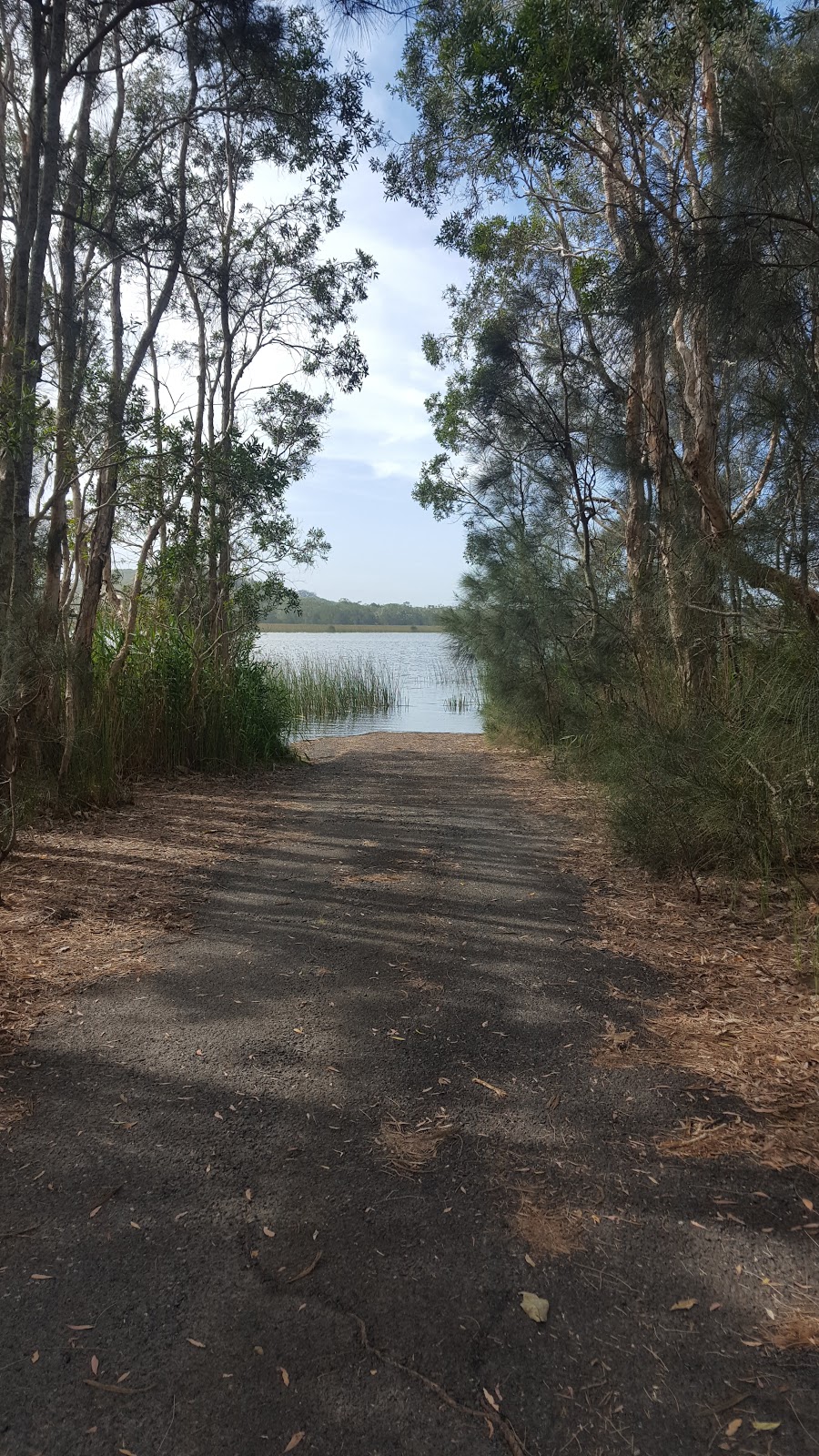 Cudgen Nature Reserve | park | Bogangar NSW 2488, Australia