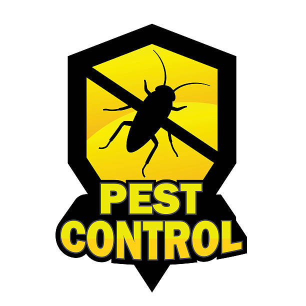 South Yarra Pest Control Care | 10 Time Ln, South Yarra VIC 3141, Australia | Phone: (03) 8595 5437