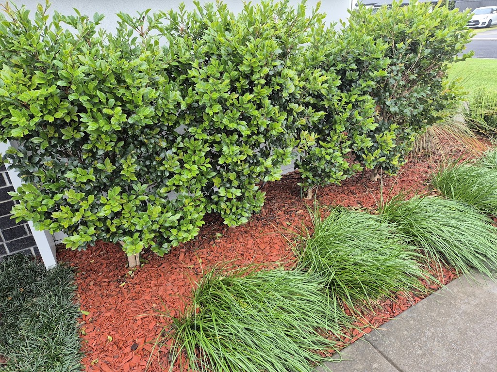 Maitland Pressure Washing and Garden Services | 6 Ridgmont Cct, Thornton NSW 2322, Australia | Phone: 0412 633 543