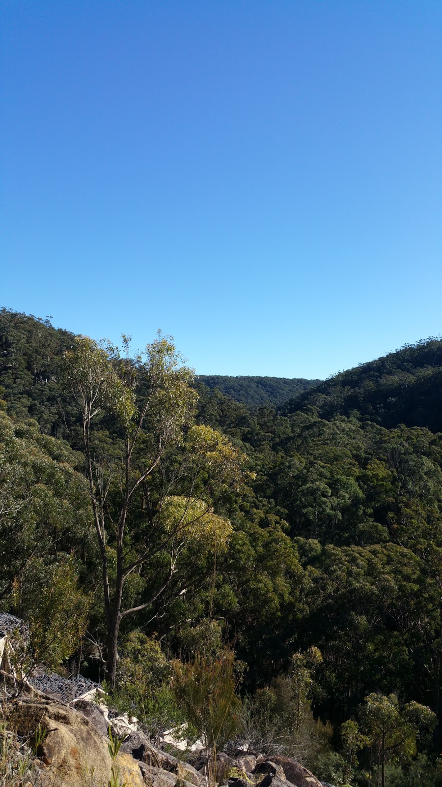 Mount Alexandra Reserve | park | Pioneer St, Mittagong NSW 2575, Australia | 0248680888 OR +61 2 4868 0888