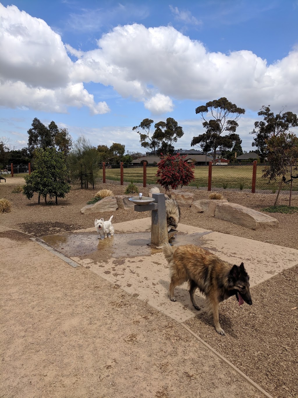 Alf Pearce Dog Park | park | 111 Carnarvon Rd, Strathmore VIC 3041, Australia