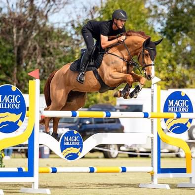 Riverton Performance Horses | 40 Bobs Range Rd, Orangeville NSW 2570, Australia | Phone: 0408 333 659