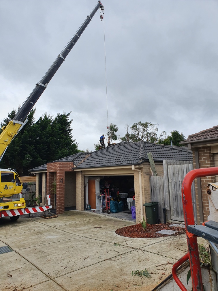 Arborists By Nature | 73 Alma St, Malvern East VIC 3145, Australia | Phone: (03) 7022 6831