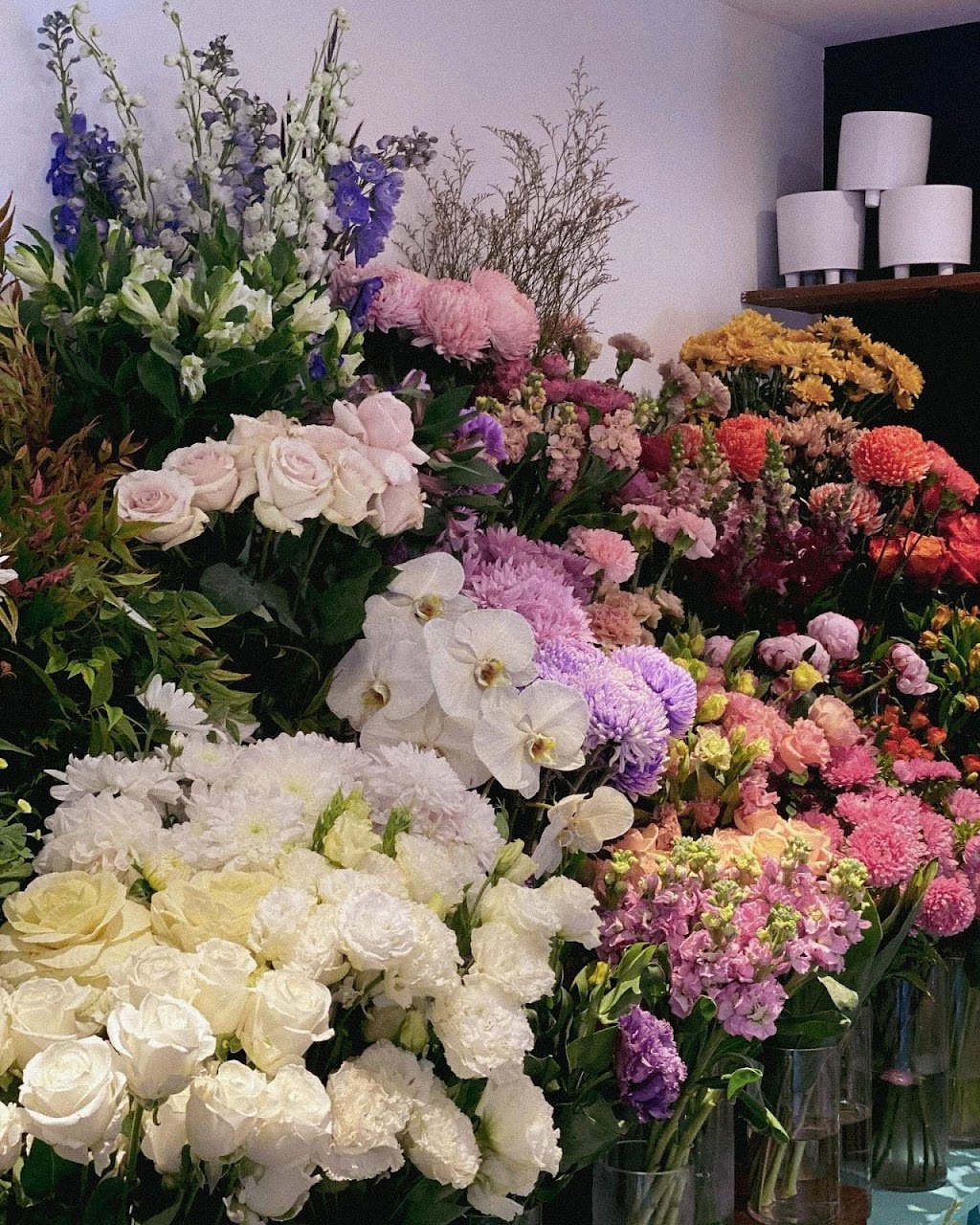 My Little Flower Shoppe | 61 Petrie Terrace, QLD 4000, Australia | Phone: (07) 3876 4735