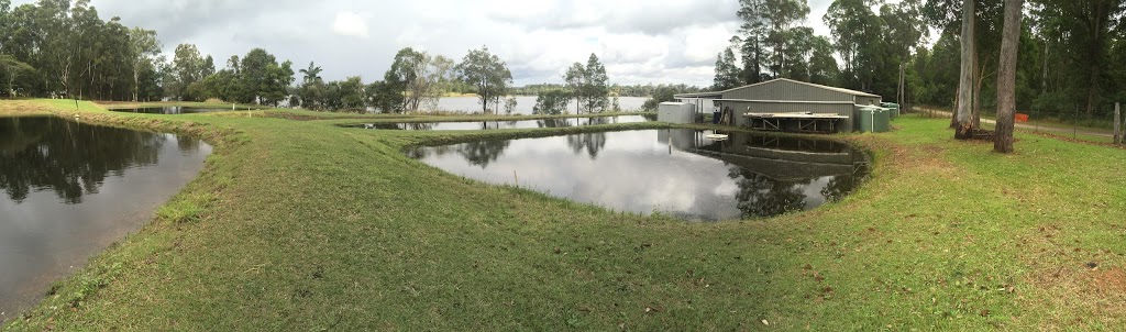 Gerry Cook Fish Hatchery | food | Mary River Cod Park, Collwood Road, Lake MacDonald QLD 4563, Australia | 0407126256 OR +61 407 126 256