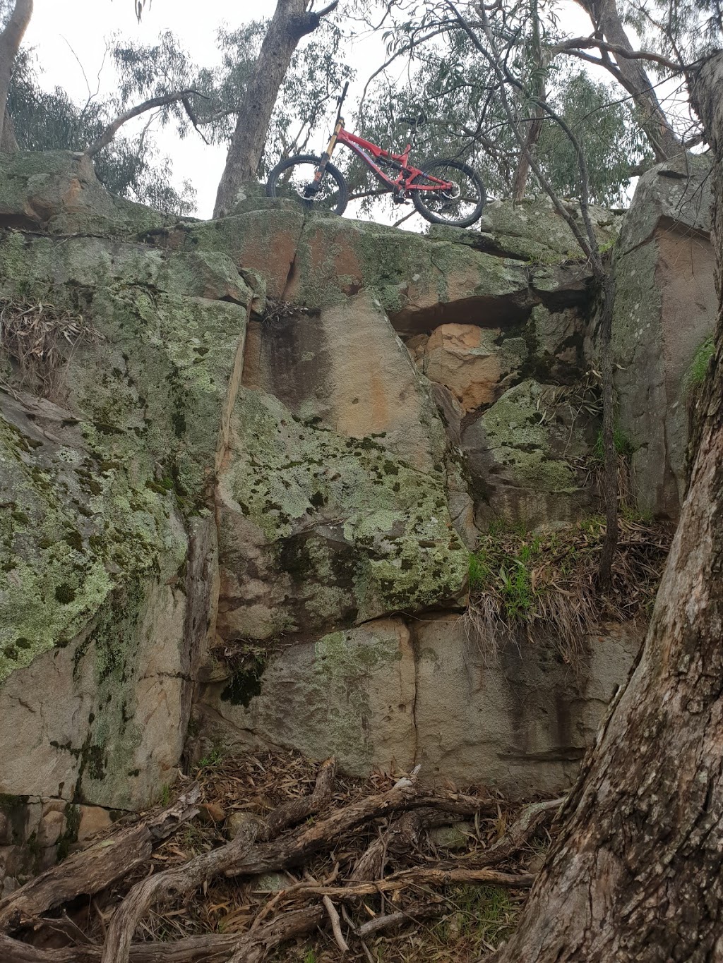 Rifle Butts Reserve MTB Track | park | Rifle Butts Rd, Mansfield VIC 3722, Australia