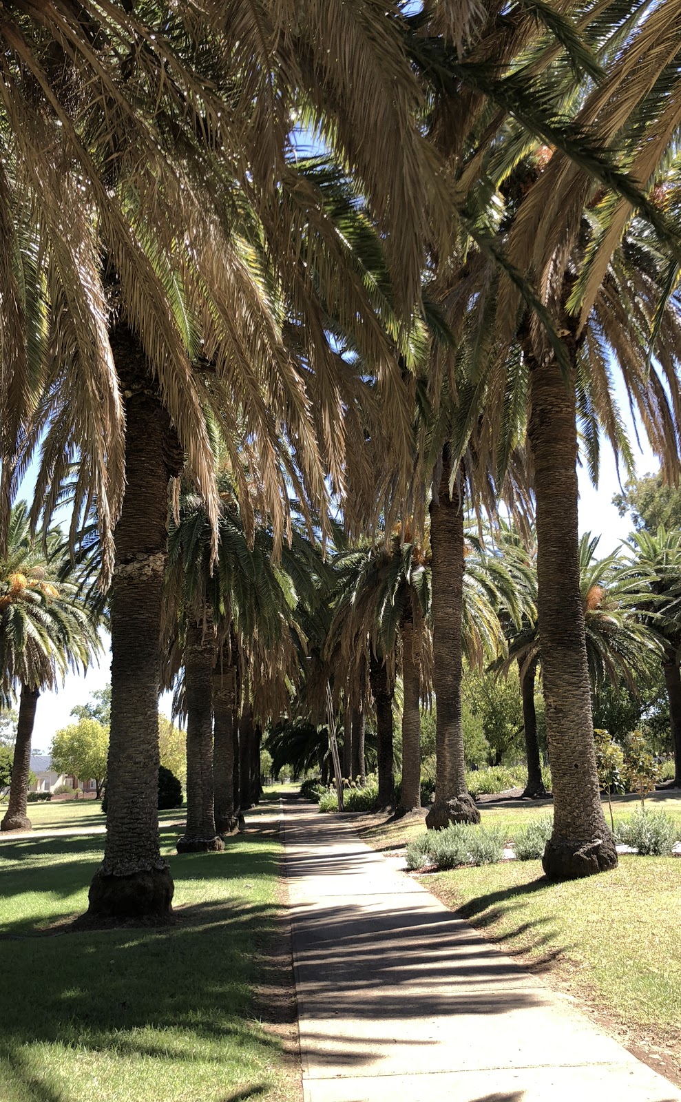 Anzac Park | East Tamworth NSW 2340, Australia