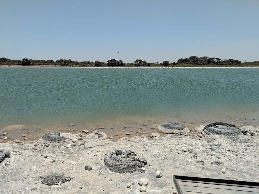 Lake Thetis | park | Cervantes WA 6511, Australia