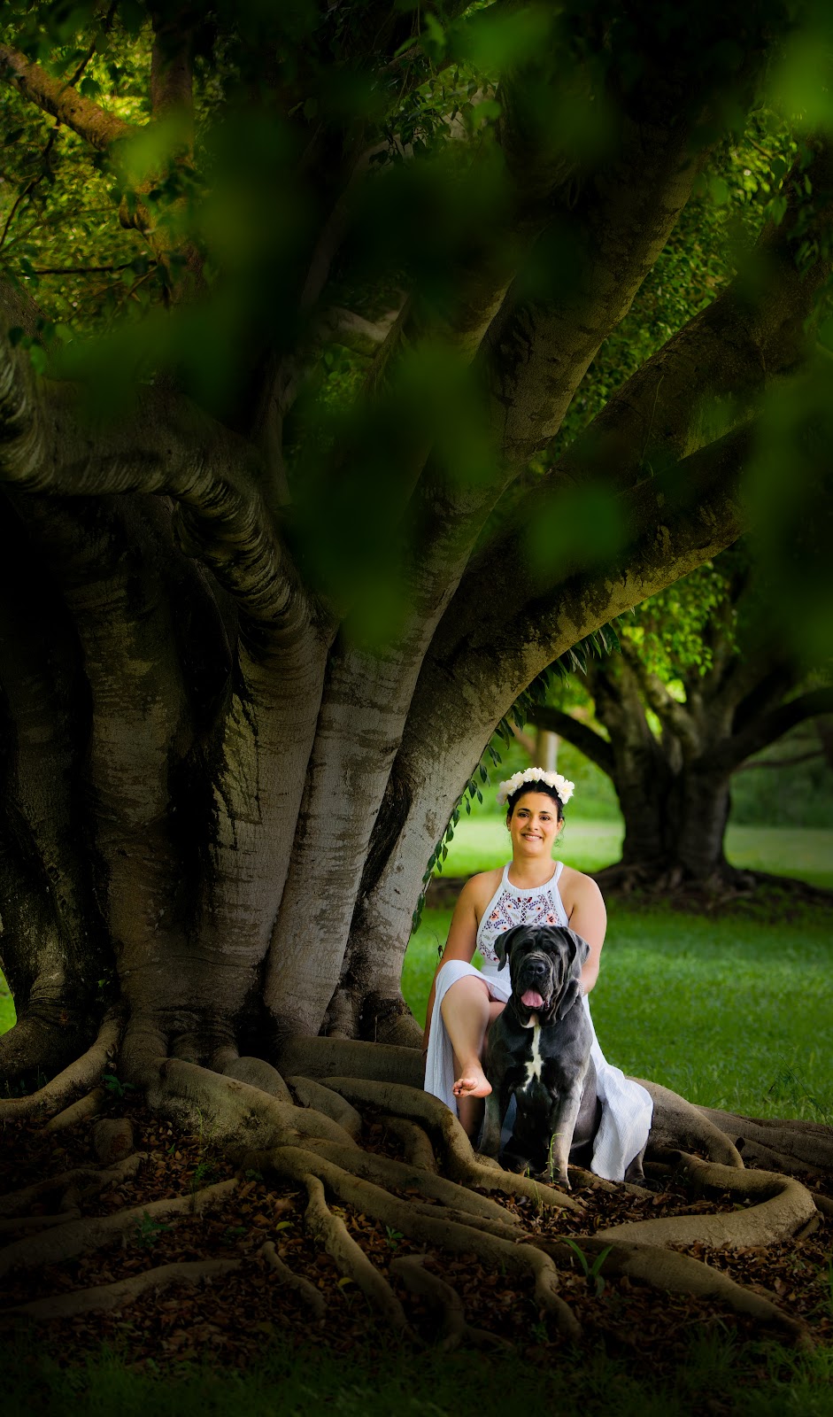 Studiou | Thistle St, Gleneagle QLD 4285, Australia | Phone: 0404 729 523
