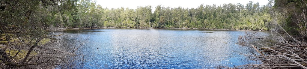 Lake Chisholm Forest Reserve | park | West Coast TAS 7321, Australia