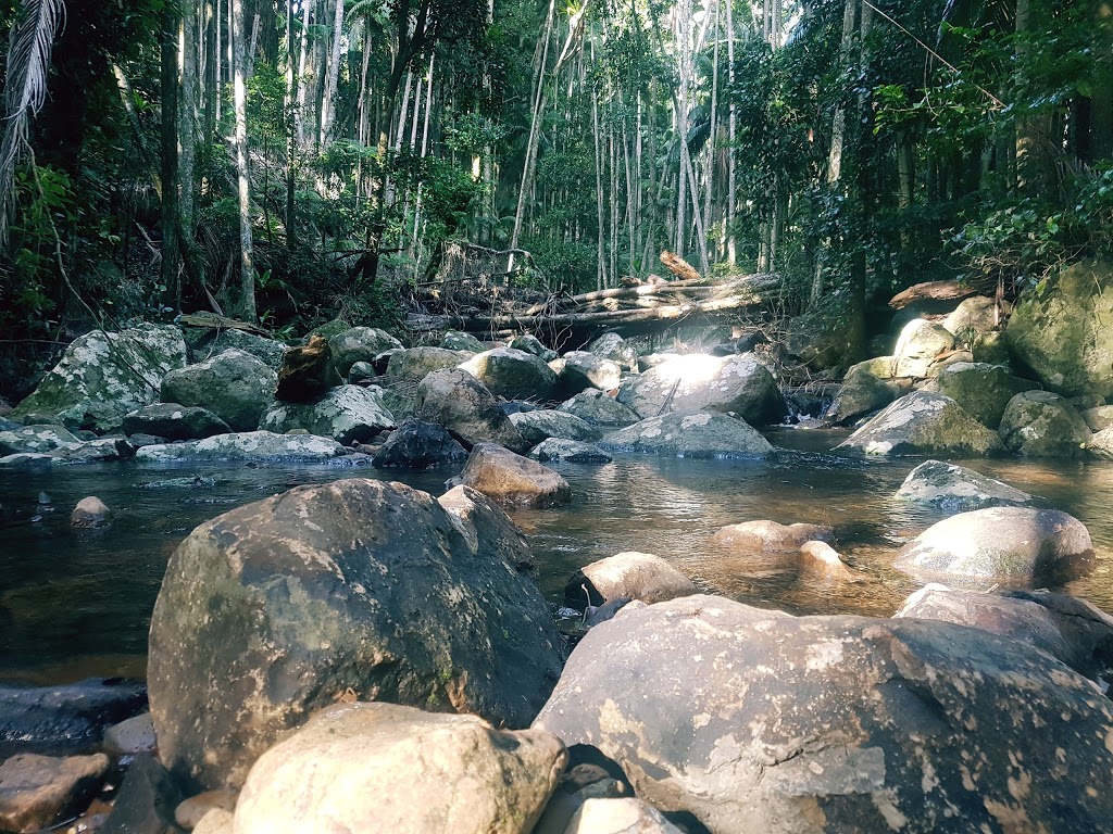 Joalah Section | park | 36 Tamborine Mountain Rd, Tamborine Mountain QLD 4272, Australia