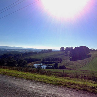 Eastern Dandenong Ranges Association | 7/17 McBride St, Cockatoo VIC 3781, Australia | Phone: (03) 5944 3536