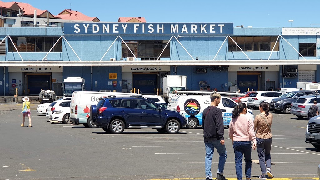 machi machi Sydney Fish Market | cafe | Shop 8a Sydney Fish Market, Pyrmont NSW 2009, Australia | 0296604609 OR +61 2 9660 4609