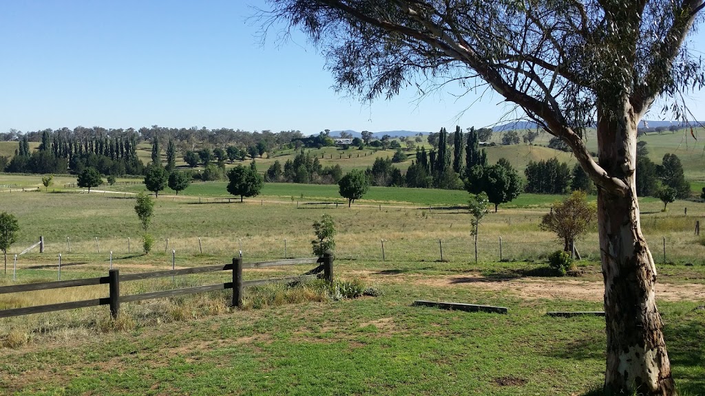 Wanera Cottage and Farm Stay | lodging | 540 Bosworth Falls Rd, OConnell NSW 2795, Australia
