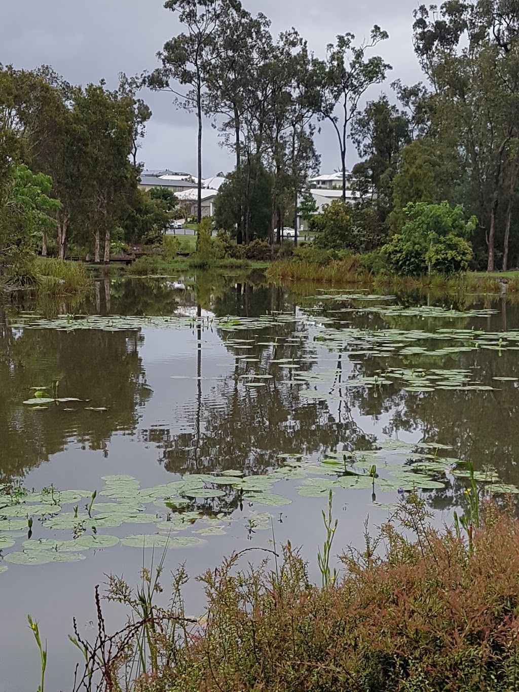 Genesis Coomera | park | Cnr Picnic Creek Drive and Daintree Drive, Coomera QLD 4209, Australia | 0755193933 OR +61 7 5519 3933