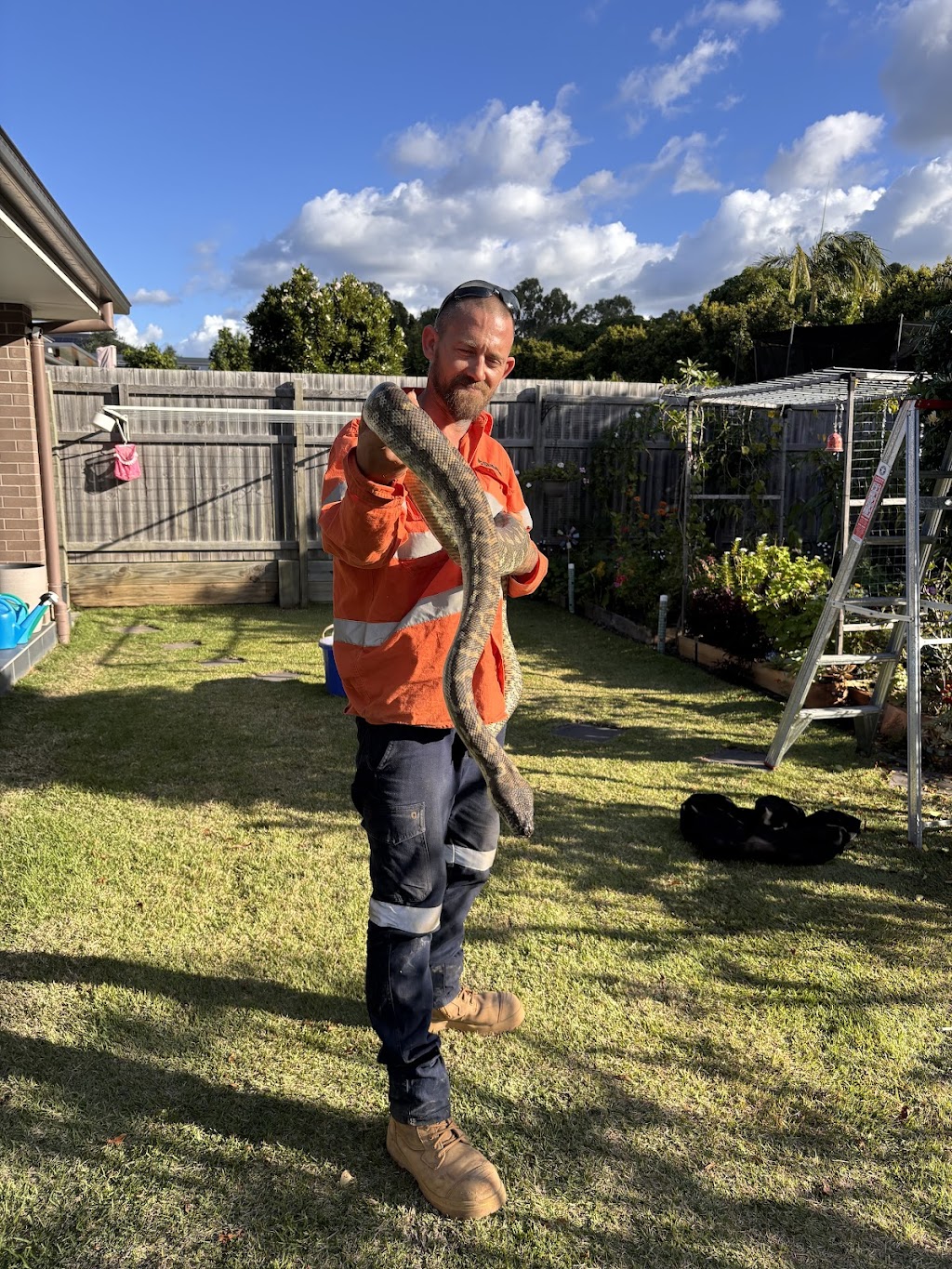 CNC reptile relocation | 2 Chalk St, Yarrabilba QLD 4207, Australia | Phone: 0413 191 844 CNC reptile relocation | 2 Chalk St, Yarrabilba QLD 4207, Australia | Phone: 0413 191 844