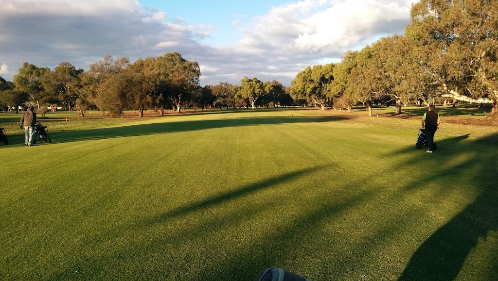 Serpentine & Districts Golf Club | 1412 Karnup Rd, Serpentine WA 6125, Australia | Phone: (08) 9525 2265