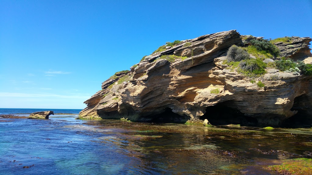 Merri Marine Sanctuary | park | Victoria, Australia