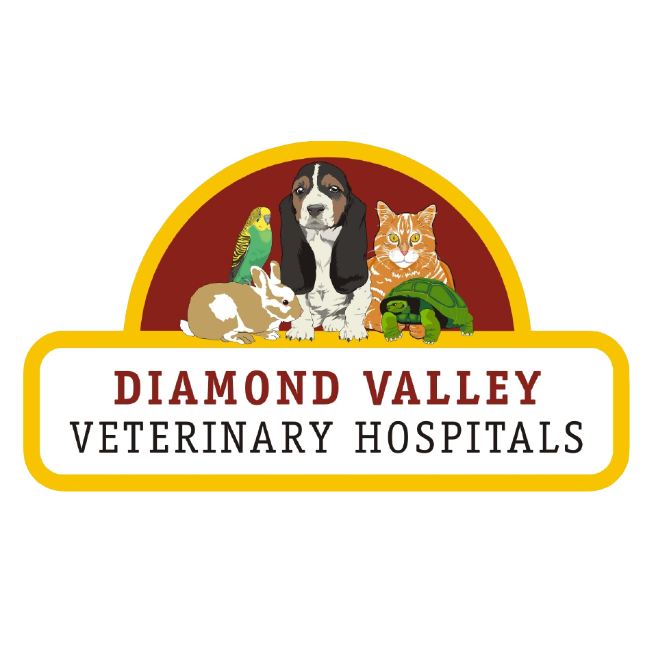 Diamond Valley Veterinary Hospitals | veterinary care | 1282 Main Rd, Eltham VIC 3095, Australia | 0394391111 OR +61 3 9439 1111