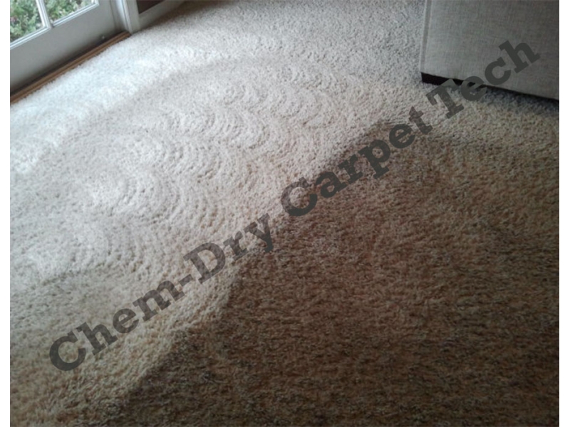 Chem Dry Deluxe Carpet Cleaning Shire & St George | 65 Townson St, Blakehurst NSW 2221, Australia | Phone: (02) 9587 3324