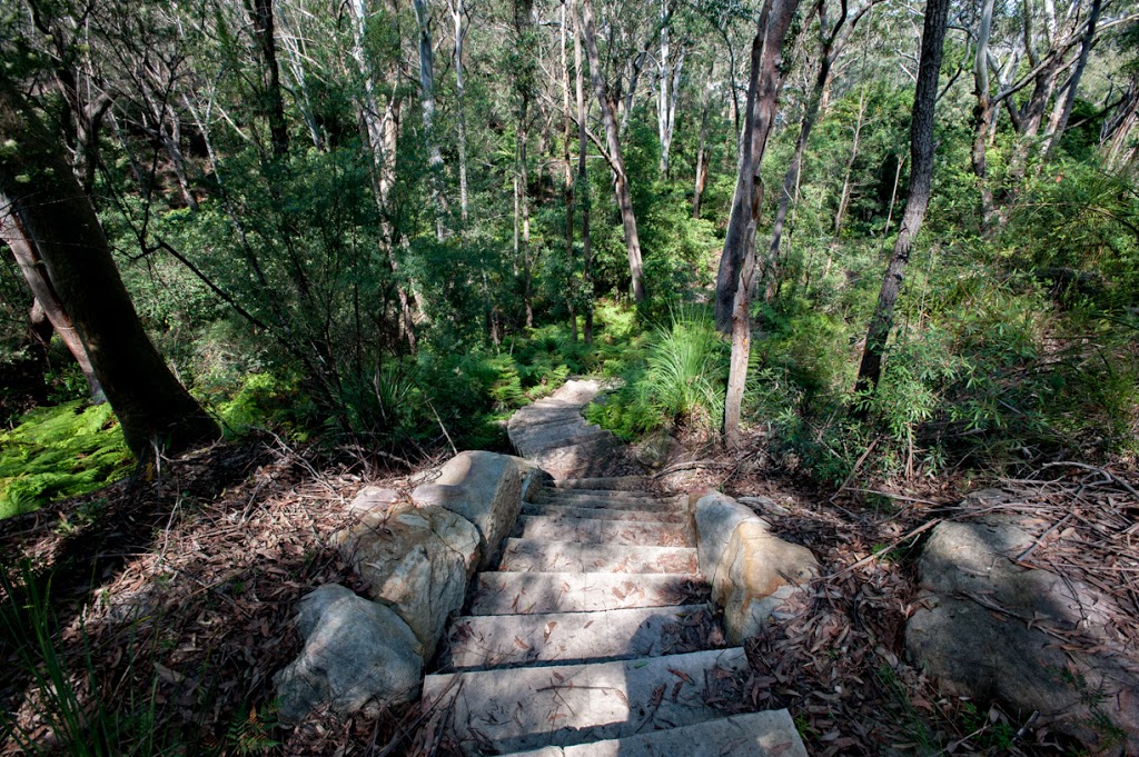 Symons Track | Lindfield NSW 2070, Australia