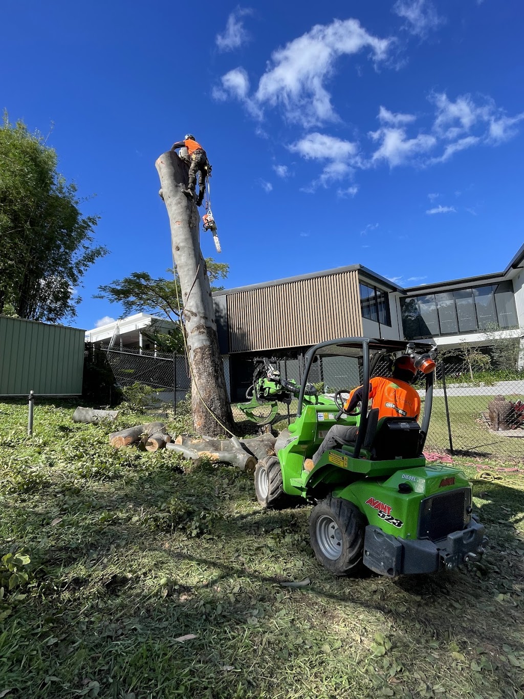 Arborsafe Tree Services Mount Tamborine | Mt Vista Pl, Tamborine QLD 4270, Australia | Phone: 0418 197 006