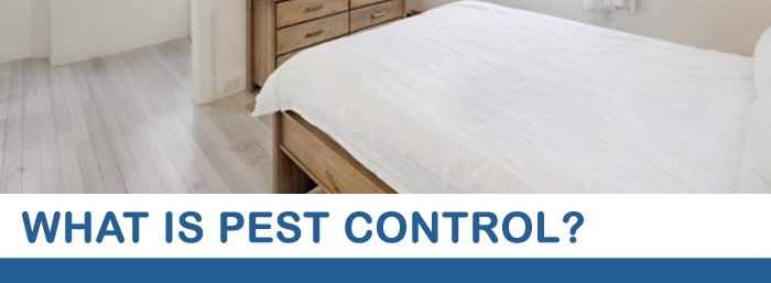 PRO Pest Control Brisbane | home goods store | 1/27 Childs St, Clayfield QLD 4011, Australia | 0735557900 OR +61 7 3555 7900